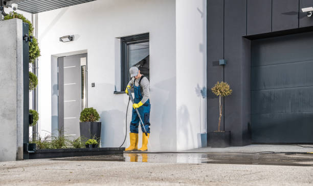Best Sidewalk and Walkway Cleaning  in Mercer Island, WA
